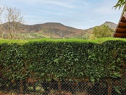 Bythynnod Newydd