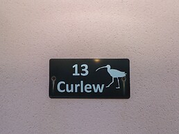 Curlew