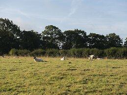 Barnfields Holiday Cottage