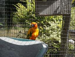 2 Bedroom 'Bird Watching Vacation' Villa