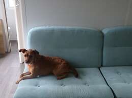 Mobil home au calme