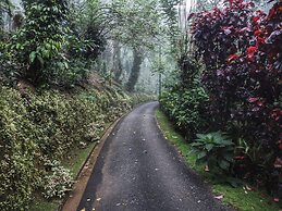 Aarunya Nature Resort &  Spa