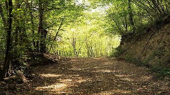 Baciano Azienda Agrituristico Venatoria