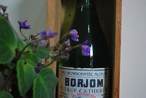 Hotel Old Borjomi