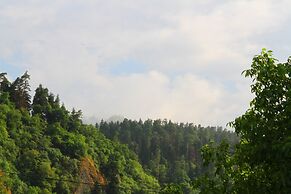 Hotel Old Borjomi