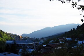 Hotel Old Borjomi