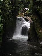 Cabañas Armonía y Jardín de Orquideas