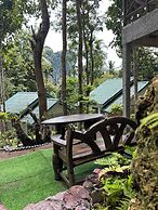 Chill Out Bar and Bungalows