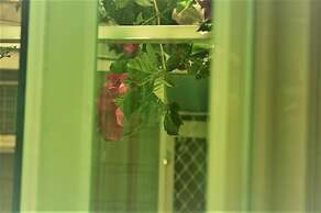 Yishingarden B&B
