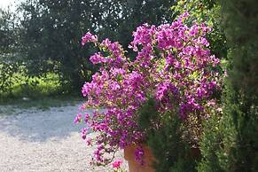Finca Belon