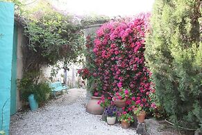 Finca Belon