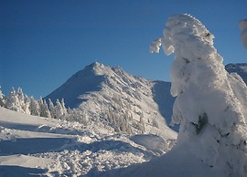 Almdorf Flachau