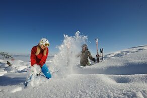Almdorf Flachau