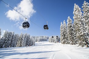 Almdorf Flachau