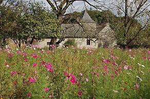 The Archeologist Home-Chateau Le Mur