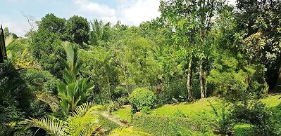 Tea Leaf Retreat Peradeniya