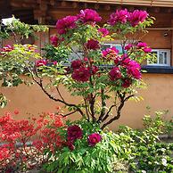 Hanok Hyeyum