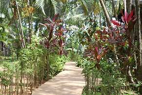 Mame Trees