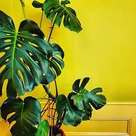 Casa do Fundo - Sustainable & Ecotourism