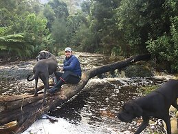 A Riverbed Guesthouse