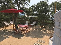 Au Soleil Mongol