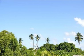 Casa Coral
