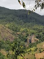 Adannz view