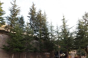 Chateau Deau Faraya