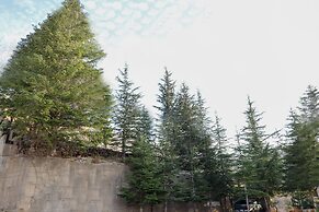 Chateau Deau Faraya