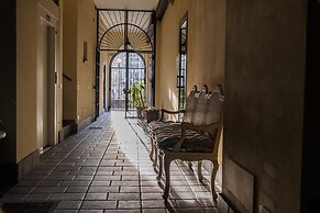 Agave in città