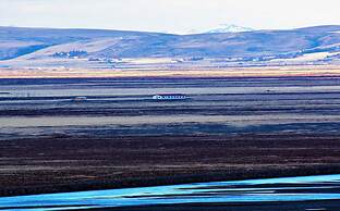 Hotel Selja