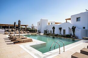 Mykonos Cactus
