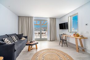 Mykonos Cactus