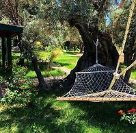 My Bungalov