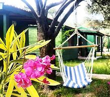 My Bungalov