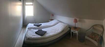 Raudafell 1