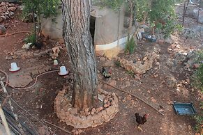 Patara Doga Apart