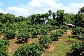 Green Hut Nature Resort