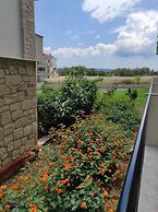 Aegean Blue Studios
