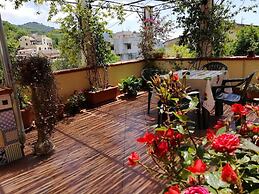 B&B Moscani
