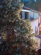 B&B Moscani