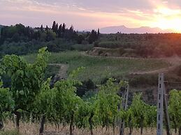 Agriturismo Podere Casalone