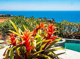 Quinta Girassol by Our Madeira