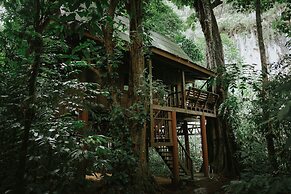 Our Jungle House