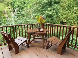 Our Jungle House