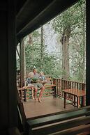 Our Jungle House