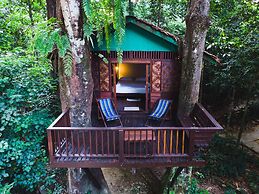 Our Jungle House