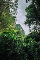 Our Jungle House