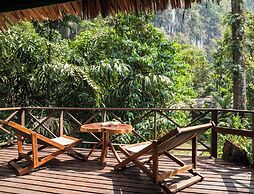 Our Jungle House