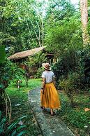 Our Jungle House